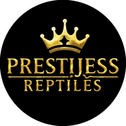 Prestijess Reptiles